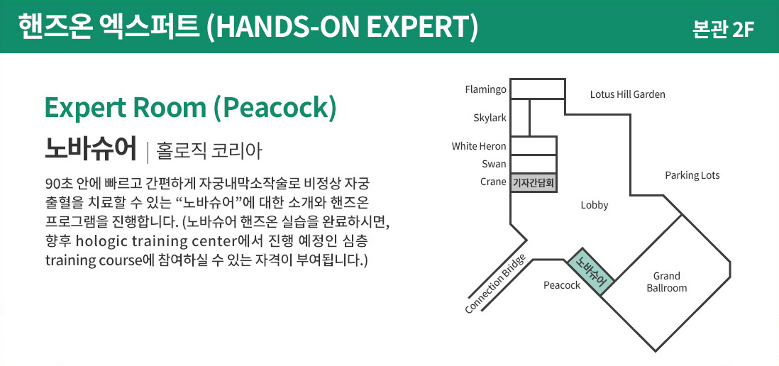 핸즈온 엑스퍼트 (HANDS-ON EXPERT)